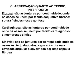 CLASSIFICAÇÃO QUANTO AO TECIDO
INTERPOSTO:
Fibrosa: são as junturas por continuidade, onde
os ossos se unem por tecido conjuntivo fibroso:
sutura / sindesmose / gonfose
Cartilaginosa: são as junturas por continuidade
onde os ossos se unem por tecido cartilaginoso:
sincondrose / sínfise
Sinovial: são as junturas por contiguidade onde os
ossos estão justapostos, separados por uma
cavidade articular e envolvidos por uma cápsula
fibrosa
 