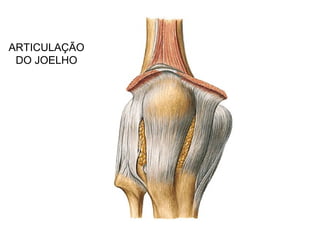 ARTICULAÇÃO
DO JOELHO
 
