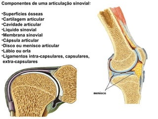Componentes de uma articulação sinovial:
•Superfícies ósseas
•Cartilagem articular
•Cavidade articular
•Liquido sinovial
•Membrana sinovial
•Cápsula articular
•Disco ou menisco articular
•Lábio ou orla
•Ligamentos intra-capsulares, capsulares,
extra-capsulares
 