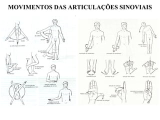 MOVIMENTOS DAS ARTICULAÇÕES SINOVIAIS
 