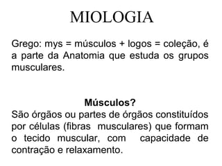 MIOLOGIA
Grego: mys = músculos + logos = coleção, é
a parte da Anatomia que estuda os grupos
musculares.
Músculos?
São órgãos ou partes de órgãos constituídos
por células (fibras musculares) que formam
o tecido muscular, com capacidade de
contração e relaxamento.
 