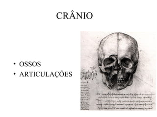CRÂNIO
• OSSOS
• ARTICULAÇÕES
 