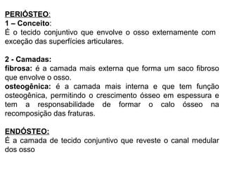 PERIÓSTEO:
1 – Conceito:
É o tecido conjuntivo que envolve o osso externamente com
exceção das superfícies articulares.
2 - Camadas:
fibrosa: é a camada mais externa que forma um saco fibroso
que envolve o osso.
osteogênica: é a camada mais interna e que tem função
osteogênica, permitindo o crescimento ósseo em espessura e
tem a responsabilidade de formar o calo ósseo na
recomposição das fraturas.
ENDÓSTEO:
É a camada de tecido conjuntivo que reveste o canal medular
dos osso
 