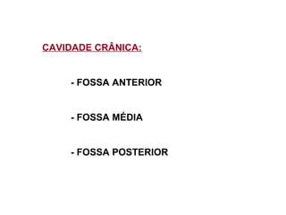 CAVIDADE CRÂNICA:
- FOSSA ANTERIOR
- FOSSA MÉDIA
- FOSSA POSTERIOR
 