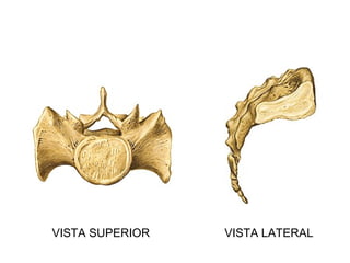 VISTA SUPERIOR VISTA LATERAL
 