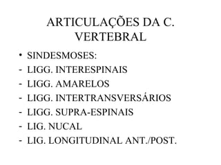 ARTICULAÇÕES DA C.
VERTEBRAL
• SINDESMOSES:
- LIGG. INTERESPINAIS
- LIGG. AMARELOS
- LIGG. INTERTRANSVERSÁRIOS
- LIGG. SUPRA-ESPINAIS
- LIG. NUCAL
- LIG. LONGITUDINAL ANT./POST.
 