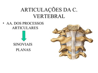 ARTICULAÇÕES DA C.
VERTEBRAL
• AA. DOS PROCESSOS
ARTICULARES
SINOVIAIS
PLANAS
 