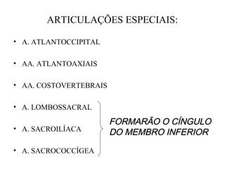ARTICULAÇÕES ESPECIAIS:
• A. ATLANTOCCIPITAL
• AA. ATLANTOAXIAIS
• AA. COSTOVERTEBRAIS
• A. LOMBOSSACRAL
• A. SACROILÍACA
• A. SACROCOCCÍGEA
FORMARÃO O CÍNGULOFORMARÃO O CÍNGULO
DO MEMBRO INFERIORDO MEMBRO INFERIOR
 