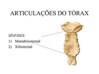 ARTICULAÇÕES DO TÓRAX
SÍNFISES:
1) Manubriesternal
2) Xifosternal
 