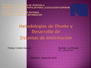Profesor: Amélia Vázquez Bachiller: Luz Rosales
C.I.: 25.313.110
Barcelona, Septiembre 2018
 