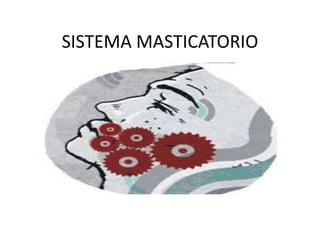 SISTEMA MASTICATORIO
 