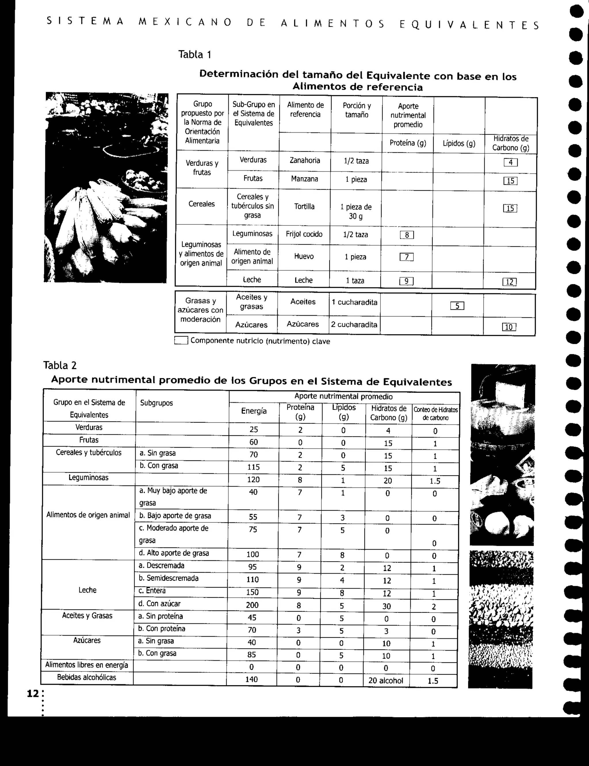 Sistema mexicano de alimentos equivalentes | PDF