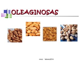 OLEAGINOSAS

mncc

febrero2014

 