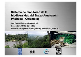 Sistema de monitoreo de la
biodiversidad del Brazo Amanavén
(Vichada - Colombia)
Luz Piedad Romero Duque PhD.
Consultora PNUD Colombia
Facultad de Ingeniería Geográfica y Ambiental (U.D.C.A.)
 