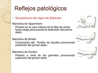 Reflejos patológicos
   Sucedáneos del signo de Babinski
Maniobra de Oppenheim
  Presión en la cara interna de la tibia de arriba
  hacia abajo provocando la extensión del primer
  dedo.

Maniobra de Shafer
  Compresión del Tendón de Aquiles provocando
  extensión del primer dedo.

Maniobra de Gordon
  Presión a nivel de los gemelos provocando
  extensión del primer dedo.
 
