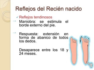 Reflejos del Recién nacido
 Reflejos
         tendinosos
 Maniobra: se estimula el
 borde externo del pie.

 Respuesta: extensión en
 forma de abanico de todos
 los dedos.

 Desaparece entre los 18 y
 24 meses.
 