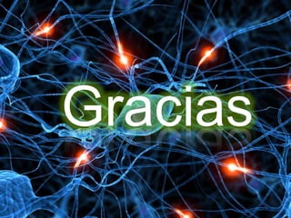 Gracias
 