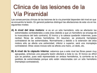Clinica de las lesiones de la
  Vía Piramidal
Las consecuencias clínicas de las lesiones de la vía piramidal dependen del nivel en que
se encuentre la lesión. En general podemos distinguir las afectaciones de esta vía en los
siguientes niveles:

A) A nivel del área motora: si es en un sólo hemisferio, sólo se afectarán las
   extremidades contralaterales a esta área (debido a que un hemisferio se encarga de
   la musculatura del lado contrario). El tronco y la cabeza quedarán indemnes, pues
   reciben fibras de ambos hemisferios. En resumen, se producirá hemiplejía
   contralateral de las extremidades. Normalmente y debido a la extensión del área
   motora sólo se afecta una extremidad, inferior o superior, será una monoplejía
   contralateral. Otras veces incluso sólo se afecta una mano, un dedo, etc.

B) A nivel de la cápsula interna: sabemos que a este nivel las fibras pasan muy
   agrupadas, entonces una pequeña lesión afectará a toda la vía. El tronco es difícil
   que se paralice, pues está representado en ambos hemisferios, lo corriente es la
   parálisis de extremidades porque sólo están relacionadas con un sólo hemisferio
   (hemiplejía contralateral).
 