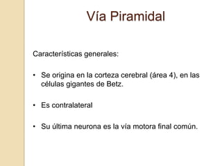 Vía Piramidal

Características generales:

• Se origina en la corteza cerebral (área 4), en las
  células gigantes de Betz.

• Es contralateral

• Su última neurona es la vía motora final común.
 