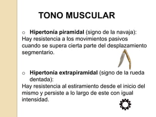 TONO MUSCULAR
o Hipertonía piramidal (signo de la navaja):
Hay resistencia a los movimientos pasivos
cuando se supera cierta parte del desplazamiento
segmentario.


o Hipertonía extrapiramidal (signo de la rueda
    dentada):
Hay resistencia al estiramiento desde el inicio del
mismo y persiste a lo largo de este con igual
intensidad.
 