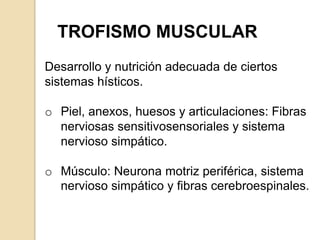 TROFISMO MUSCULAR
Desarrollo y nutrición adecuada de ciertos
sistemas hísticos.

o Piel, anexos, huesos y articulaciones: Fibras
  nerviosas sensitivosensoriales y sistema
  nervioso simpático.

o Músculo: Neurona motriz periférica, sistema
  nervioso simpático y fibras cerebroespinales.
 