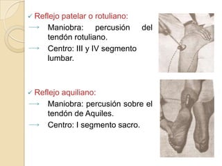  Reflejopatelar o rotuliano:
     Maniobra: percusión del
     tendón rotuliano.
     Centro: III y IV segmento
     lumbar.



 Reflejoaquiliano:
     Maniobra: percusión sobre el
     tendón de Aquiles.
     Centro: I segmento sacro.
 