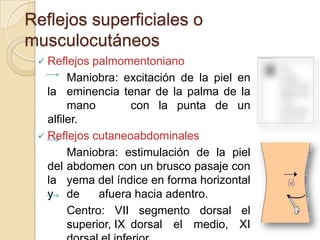 Reflejos superficiales o
musculocutáneos
  Reflejos palmomentoniano
        Maniobra: excitación de la piel en
   la emin...