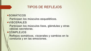 TIPOS DE REFLEJOS
SOMÁTICOS
Participan los músculos esqueléticos.
VISCERALES
Participan los músculos lisos, glándulas y otras
células secretoras.
COMPLEJOS
Reflejos somáticos, viscerales y cambios en la
conducta y en las emociones.
 