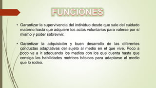 • Garantizar la supervivencia del individuo desde que sale del cuidado
materno hasta que adquiere los actos voluntarios para valerse por sí
mismo y poder sobrevivir.
• Garantizar la adquisición y buen desarrollo de las diferentes
conductas adaptativas del sujeto al medio en el que vive. Poco a
poco va a ir adecuando los medios con los que cuenta hasta que
consiga las habilidades motrices básicas para adaptarse al medio
que lo rodea.
 