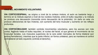 VIAS DEL MOVIMIENTO VOLUNTARIO.
VIA CORTICOESPINAL: se origina a nivel de la corteza motora, el axón es bastante largo y
termina en la médula espinal a nivel de los núcleos motores; entre el bulbo raquídeo y la médula
se produce una decusación (conocida como decusación de la pirámide). Un daño en esta vía
produce alteraciones de tipo motoras, con aumento del tono muscular y aumento en los reflejos
profundos.
VIA CORTICOBULBAR: también controla movimientos voluntarios, pero los axones son más
cortos, llegando hasta el bulbo raquídeo, al núcleo del facial, el que genera el movimiento de los
músculos faciales. Los músculos superiores de la cara están inervados de forma bilateral (por
ambos hemisferios), mientras que la parte inferior, en forma unilateral, pero se mantiene el control
contralateral (el lado izquierdo controla el derecho).
 