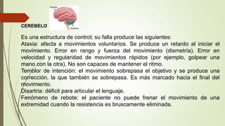 CEREBELO
Es una estructura de control; su falla produce las siguientes:
Ataxia: afecta a movimientos voluntarios. Se produce un retardo al iniciar el
movimiento. Error en rango y fuerza del movimiento (dismetría). Error en
velocidad y regularidad de movimientos rápidos (por ejemplo, golpear una
mano con la otra). No son capaces de mantener el ritmo.
Temblor de intención: el movimiento sobrepasa el objetivo y se produce una
corrección, la que también se sobrepasa. Es más marcado hacia el final del
movimiento.
Disartria: déficit para articular el lenguaje.
Fenómeno de rebote: el paciente no puede frenar el movimiento de una
extremidad cuando la resistencia es bruscamente eliminada.
 