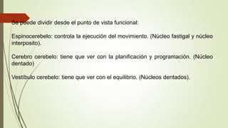 Se puede dividir desde el punto de vista funcional:
Espinocerebelo: controla la ejecución del movimiento. (Núcleo fastigal y núcleo
interposito).
Cerebro cerebelo: tiene que ver con la planificación y programación. (Núcleo
dentado)
Vestíbulo cerebelo: tiene que ver con el equilibrio. (Núcleos dentados).
 