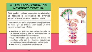 Comprehensive Overview of the Human Motor System: Structure, Function ...