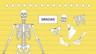 Comprehensive Overview of the Human Motor System: Structure, Function ...