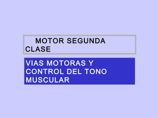 MOTOR SEGUNDA
CLASE

VIAS MOTORAS Y
CONTROL DEL TONO
MUSCULAR
 