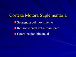 Corteza Motora Suplementaria Secuencia del movimiento Repaso mental del movimiento Coordinación bimanual 