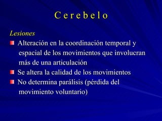 C e r e b e l o Lesiones Alteración en la coordinación temporal y  espacial de los movimientos que involucran  más de una articulación Se altera la calidad de los movimientos No determina parálisis (pérdida del  movimiento voluntario) 