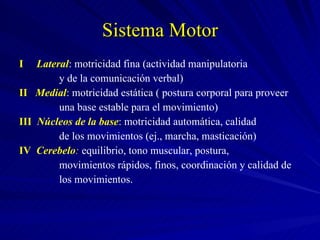 Sistema Motor I   Lateral : motricidad fina (actividad manipulatoria  y de la comunicación verbal) II   Medial : motricidad estática ( postura corporal para proveer  una base estable para el movimiento) III  Núcleos de la base : motricidad automática, calidad  de los movimientos (ej., marcha, masticación) IV  Cerebelo :  equilibrio, tono muscular, postura,  movimientos rápidos, finos, coordinación y calidad de  los movimientos. 