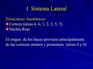 I  Sistema Lateral Estructuras Anatómicas Corteza (áreas 4, 6, 1, 2, 3, 5, 7) Núcleo Rojo El origen  de los haces proviene principalmente de las cortezas motora y premotora  (áreas 4 y 6) 