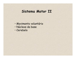 Sistema Motor II
• Movimento voluntário
• Núcleos da base
• Cerebelo
 