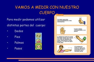 VAMOS A MEDIR CON NUESTRO CUERPO Para medir podemos utilizar distintas partes del  cuerpo: • Dedos • Pies • Palmos • Pasos 
