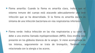 Flema Sistema mucociliar sistema respiratorio terapia respiratoria | PPTX