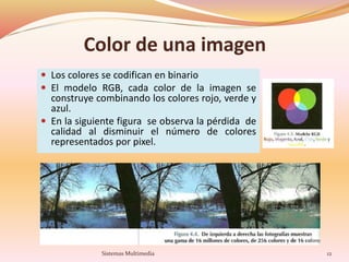 Color de una imagen
 Los colores se codifican en binario
 El modelo RGB, cada color de la imagen se
construye combinando los colores rojo, verde y
azul.
 En la siguiente figura se observa la pérdida de
calidad al disminuir el número de colores
representados por pixel.
12Sistemas Multimedia
 