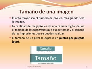 Tamaño de una imagen
 Cuanto mayor sea el número de píxeles, más grande será
la imagen.
 La cantidad de megapíxeles de una cámara digital define
el tamaño de las fotografías que puede tomar y el tamaño
de las impresiones que se pueden realizar.
 El tamaño de un píxel se expresa en puntos por pulgada
(ppp).
13Sistemas Multimedia
 