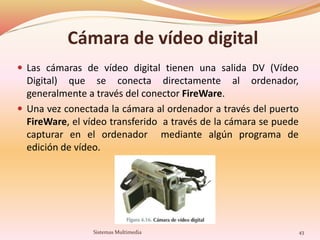 Cámara de vídeo digital
 Las cámaras de vídeo digital tienen una salida DV (Vídeo
Digital) que se conecta directamente al ordenador,
generalmente a través del conector FireWare.
 Una vez conectada la cámara al ordenador a través del puerto
FireWare, el vídeo transferido a través de la cámara se puede
capturar en el ordenador mediante algún programa de
edición de vídeo.
43Sistemas Multimedia
 