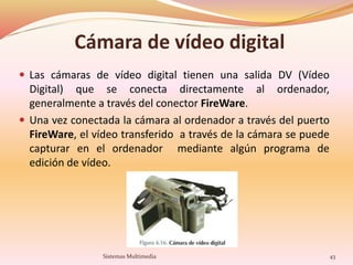 Cámara de vídeo digital
 Las cámaras de vídeo digital tienen una salida DV (Vídeo
Digital) que se conecta directamente al...