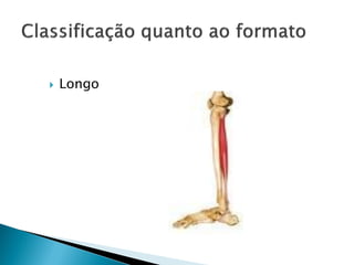    Longo
 