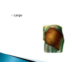    Largo
 