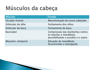 Músculo              Função
Occipto-frontal      Movimentação do couro cabeludo
Orbicular do olho    Fechamento dos olhos
Orbicular da boca    Fechamento da boca
Bucinador            Compressão das bochechas contra
                     as maxilas e mandíbula,
                     possibilitando o assobio e o sopro
Masseter, temporal   Elevação da mandíbula,
                     favorecendo a mastigação
 
