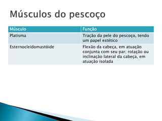 Músculo                 Função
Platisma                Tração da pele do pescoço, tendo
                        um papel estético
Esternocleidomastóide   Flexão da cabeça, em atuação
                        conjunta com seu par; rotação ou
                        inclinação lateral da cabeça, em
                        atuação isolada
 